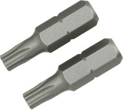 LUX-TOOLS LUX Classic standard bit TX25 2 darab (303206)