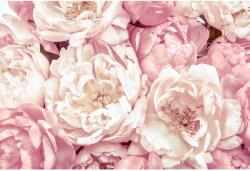Komar nemszőtt fotótapéta Peonies 368 cm x 248 cm