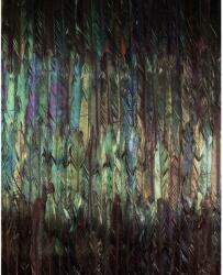 Komar vlies tapéta Dark Wings 200 cm x 250 cm