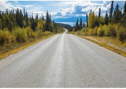 Komar fotótapéta Atlin Road 368 cm x 254 cm FSC