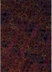 Komar vlies fotótapéta Lotus 200 cm x 280 cm