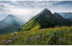 Komar Vlies fotótapéta The Green Queen 450 cm x 280 cm