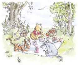 Komar nemszőtt fotótapéta Disney Winnie The Pooh Nice For Picnics színes