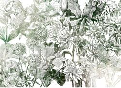 Komar vlies fotótapéta Valerie 350 cm x 250 cm