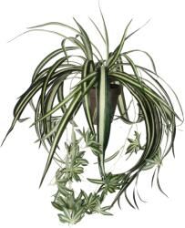 Mica Decorations műnövény Chlorophytum cserépben magasság: 45 cm átmérő: 45 cm (918252)