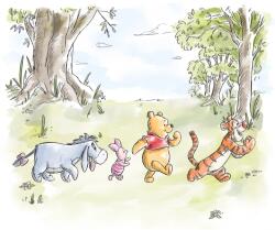 Komar nemszőtt fotótapéta Disney Winnie the Pooh Walk Together színes