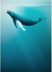 Komar vlies fotótapéta Artsy Humpback Whale 200 cm x 250 cm