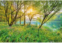 Komar fotótapéta Spring Lake 368 cm x 254 cm FSC