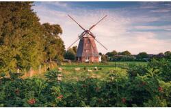 Komar Vlies fotótapéta Tage wie Diese 450 cm x 280 cm