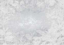 Komar vlies fotótapéta Flora 400 cm x 280 cm