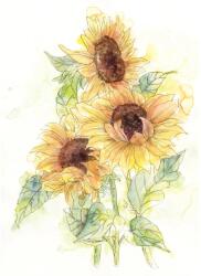 Komar vlies fotótapéta Girasol 200 cm x 250 cm