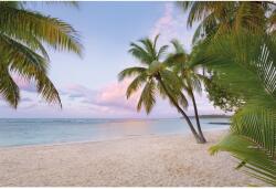 Komar nemszőtt fotótapéta Paradise Morning 368 cm x 248 cm FSC