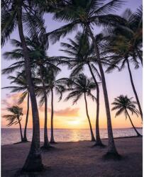 Komar vlies fotótapéta Palmtrees on Beach 200 cm x 250 cm