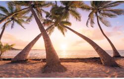 Komar vlies fotótapéta Reaching the Sun 400 cm x 250 cm