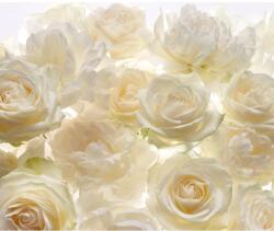 Komar vlies fotótapéta Shalimar 300 cm x 250 cm