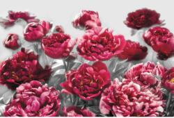 Komar vlies fotótapéta Temptation 400 cm x 260 cm