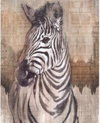 Komar vlies fotótapéta Zebra 200 cm x 250 cm