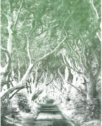 Komar nemszőtt fotótapéta Alley Graphite 200 cm x 250 cm