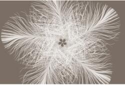 Komar nemszőtt fotótapéta Federstern 368 cm x 248 cm FSC