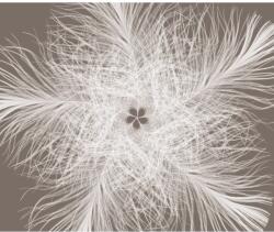 Komar vlies fotótapéta Federstern 300 cm x 250 cm