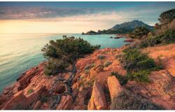 Komar Vlies fotótapéta Paradiso II 450 cm x 280 cm