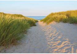 Komar fotótapéta Sandy Path 368 cm x 254 cm FSC®