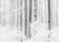 Komar vlies fotótapéta Winter Wood 400 cm x 280 cm