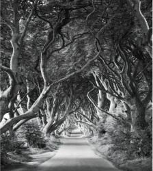 Komar Vlies fotótapéta Forevenue 250 cm x 280 cm