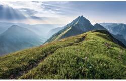 Komar vlies fotótapéta Green Vein 400 cm x 250 cm