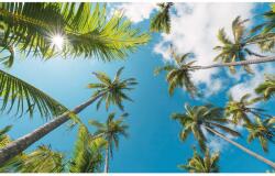 Komar Vlies fotótapéta Coconut Heaven II 450 cm x 280 cm