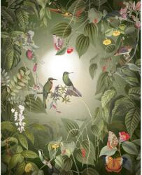 Komar vlies tapéta Wildlife Birds 200 cm x 250 cm