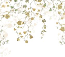 Komar vlies fotótapéta Hedera 300 cm x 280 cm