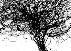 Komar fotótapéta gyapjú Curls 350 cm x 250 cm