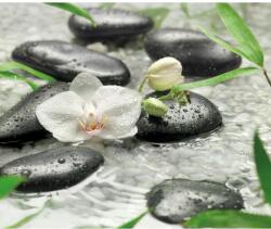 Komar vlies fotótapéta Pure 300 cm x 250 cm