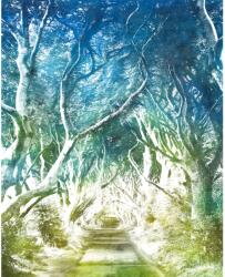 Komar nemszőtt fotótapéta Alley 200 cm x 250 cm