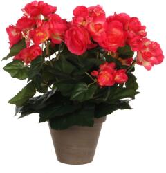 Mica Decorations Művirág begónia sötét rózsaszín cserépátmérő 11, 5 cm 30 cm x 25 cm (977506)