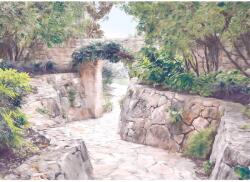 Komar vlies fotótapéta Passage 350 cm x 250 cm