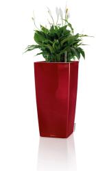 Lechuza Cubico Premium oszlopkaspó 22 skarlátvörös magasfényű 22 cm x 22 cm