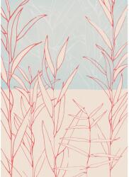 Komar vlies fotótapéta Plain 200 cm x 280 cm