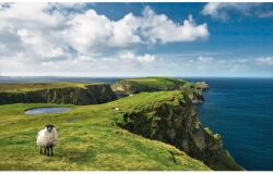 Komar Vlies fotótapéta Green Ireland 450 cm x 280 cm