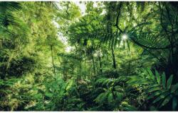 Komar vlies fotótapéta Into The Jungle 400 cm x 250 cm