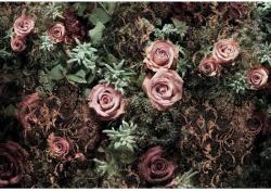 Komar fotótapéta Velvet 368 cm x 254 cm FSC