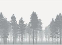 Komar vlies fotótapéta Nebula 350 cm x 250 cm