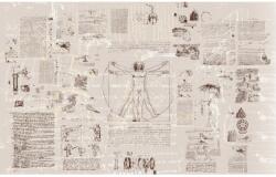 Komar fotótapéta gyapjú Da Vinci 400 cm x 250 cm