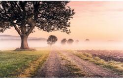 Komar vlies fotótapéta Misty Morning 400 cm x 250 cm