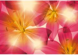 Komar fotótapéta Summer Sun 368 cm x 254 cm FSC