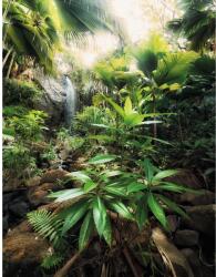 Komar vlies fotótapéta Spirit 200 cm x 250 cm - obi - 28 990 Ft