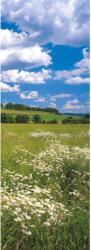 Komar vlies fotótapéta Meadow 100 cm x 280 cm
