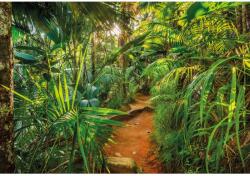 Komar fotótapéta Jungle Trail 368 cm x 254 cm FSC