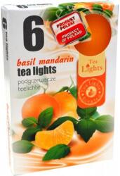  Teamécses illatos mandarin 6 db